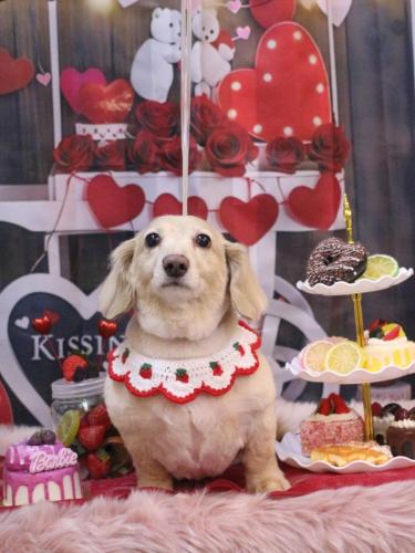 20250205テヤンくん